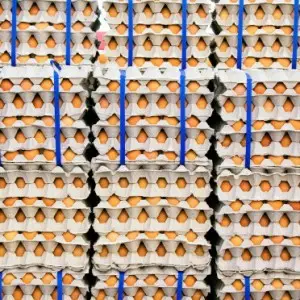 Foodstuffs Logistics Services