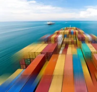 Sea Freight Customs Clearance & Forwarding Services